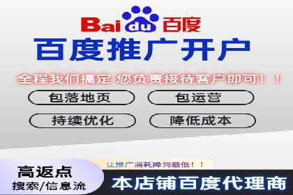 百度推广费用投入与用户转化路径的优化案例